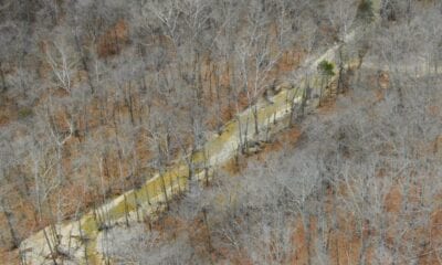 Owner Financed Hunting and Recreational Land in Missouri and Arkansas
