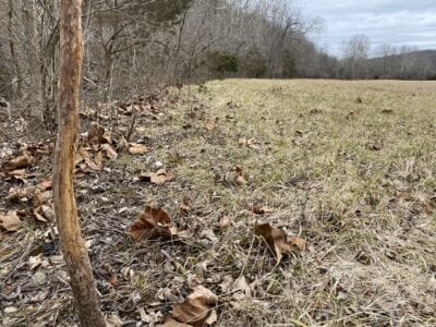 Owner Financed Hunting and Recreational Land in Missouri and Arkansas
