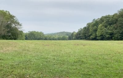 Owner Financed Hunting and Recreational Land in Missouri and Arkansas