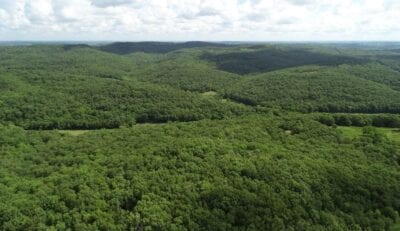 Owner Financed Hunting and Recreational Land in Missouri and Arkansas