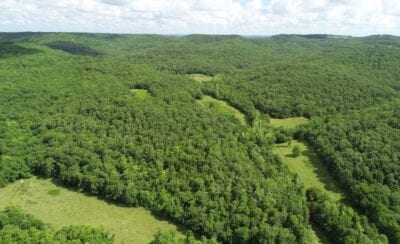 Owner Financed Hunting and Recreational Land in Missouri and Arkansas