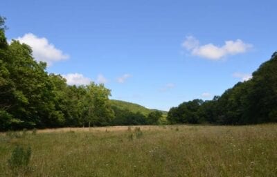 Owner Financed Hunting and Recreational Land in Missouri and Arkansas