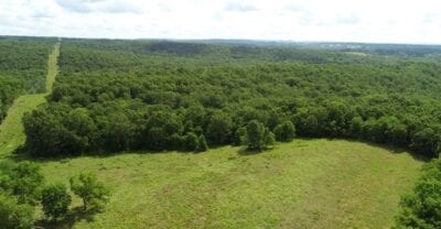 Owner Financed Hunting and Recreational Land in Missouri and Arkansas