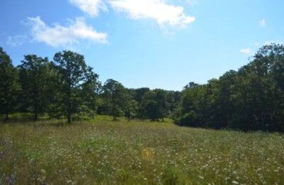 Owner Financed Hunting and Recreational Land in Missouri and Arkansas