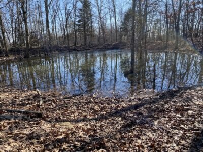 Owner Financed Hunting and Recreational Land in Missouri and Arkansas