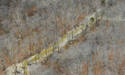 Owner Financed Hunting and Recreational Land in Missouri and Arkansas