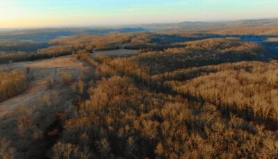 Owner Financed Hunting and Recreational Land in Missouri and Arkansas