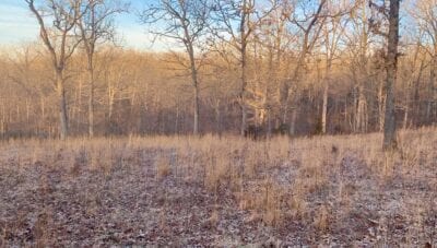 Owner Financed Hunting and Recreational Land in Missouri and Arkansas