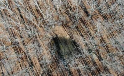 Owner Financed Hunting and Recreational Land in Missouri and Arkansas