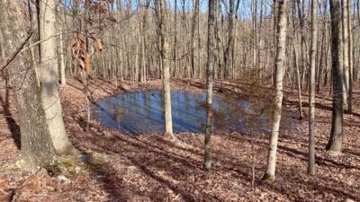 Owner Financed Hunting and Recreational Land in Missouri and Arkansas
