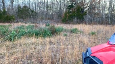 Owner Financed Hunting and Recreational Land in Missouri and Arkansas