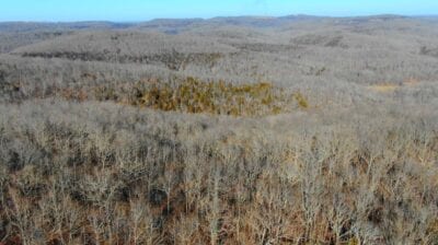Owner Financed Hunting and Recreational Land in Missouri and Arkansas