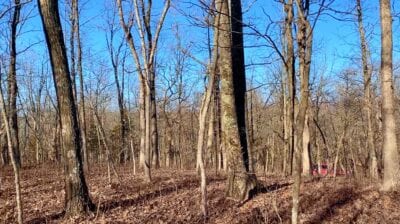 Owner Financed Hunting and Recreational Land in Missouri and Arkansas