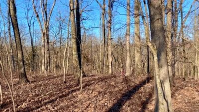 Owner Financed Hunting and Recreational Land in Missouri and Arkansas
