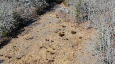 Owner Financed Hunting and Recreational Land in Missouri and Arkansas