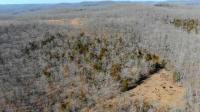 Owner Financed Hunting and Recreational Land in Missouri and Arkansas