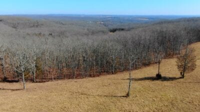 Owner Financed Hunting and Recreational Land in Missouri and Arkansas