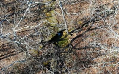 Owner Financed Hunting and Recreational Land in Missouri and Arkansas