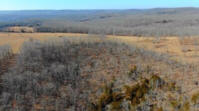 Owner Financed Hunting and Recreational Land in Missouri and Arkansas