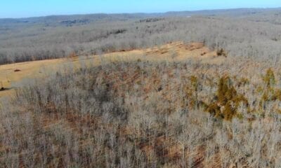Owner Financed Hunting and Recreational Land in Missouri and Arkansas