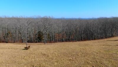 Owner Financed Hunting and Recreational Land in Missouri and Arkansas