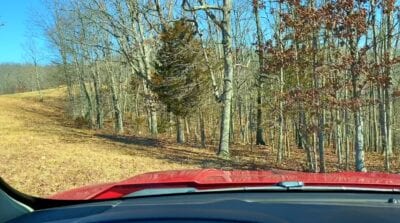 Owner Financed Hunting and Recreational Land in Missouri and Arkansas