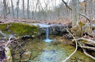 Owner Financed Hunting and Recreational Land in Missouri and Arkansas