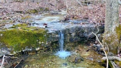 Owner Financed Hunting and Recreational Land in Missouri and Arkansas