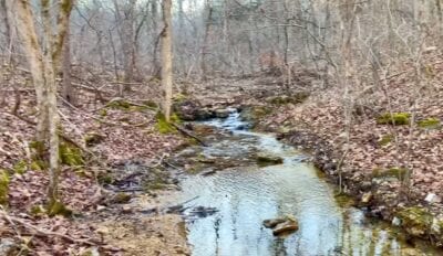 Owner Financed Hunting and Recreational Land in Missouri and Arkansas