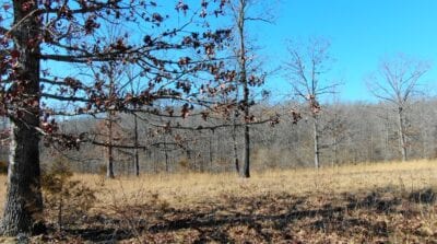 Owner Financed Hunting and Recreational Land in Missouri and Arkansas