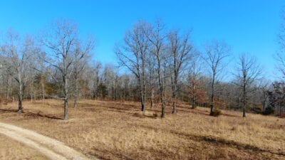 Owner Financed Hunting and Recreational Land in Missouri and Arkansas