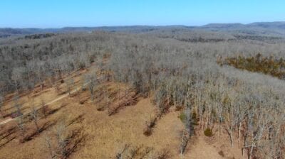 Owner Financed Hunting and Recreational Land in Missouri and Arkansas