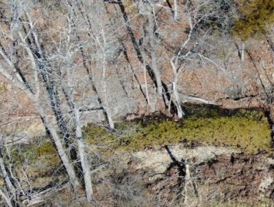 Owner Financed Hunting and Recreational Land in Missouri and Arkansas