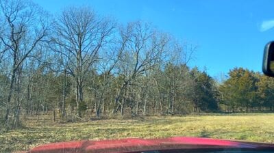 Owner Financed Hunting and Recreational Land in Missouri and Arkansas