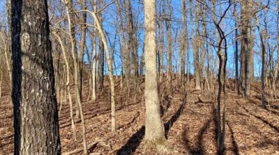 Owner Financed Hunting and Recreational Land in Missouri and Arkansas