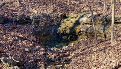 Owner Financed Hunting and Recreational Land in Missouri and Arkansas
