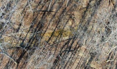 Owner Financed Hunting and Recreational Land in Missouri and Arkansas