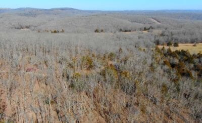 Owner Financed Hunting and Recreational Land in Missouri and Arkansas