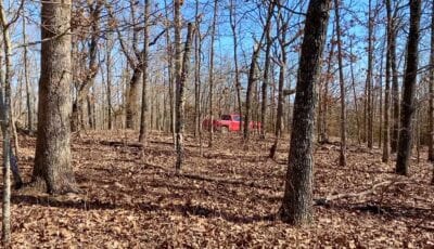 Owner Financed Hunting and Recreational Land in Missouri and Arkansas
