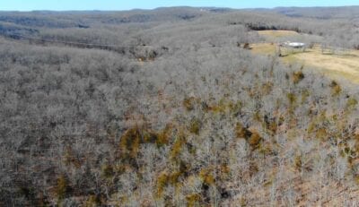 Owner Financed Hunting and Recreational Land in Missouri and Arkansas