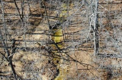 Owner Financed Hunting and Recreational Land in Missouri and Arkansas