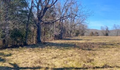 Owner Financed Hunting and Recreational Land in Missouri and Arkansas