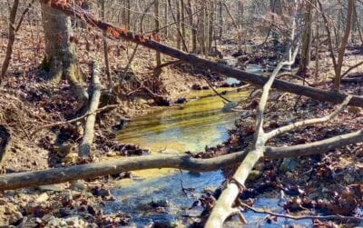 Owner Financed Hunting and Recreational Land in Missouri and Arkansas