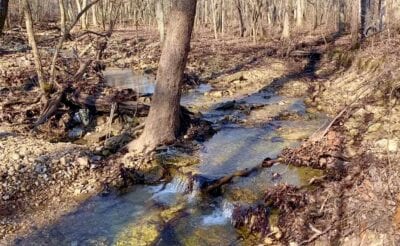 Owner Financed Hunting and Recreational Land in Missouri and Arkansas