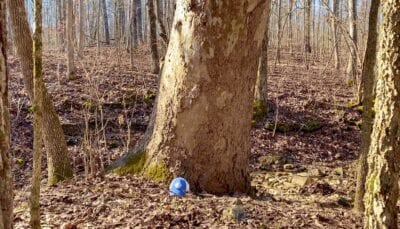 Owner Financed Hunting and Recreational Land in Missouri and Arkansas