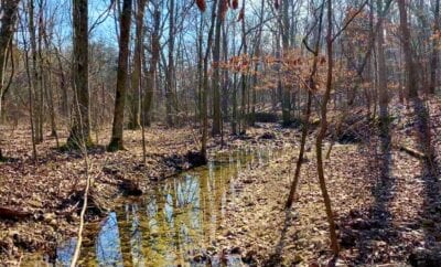 Owner Financed Hunting and Recreational Land in Missouri and Arkansas