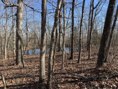 Owner Financed Hunting and Recreational Land in Missouri and Arkansas