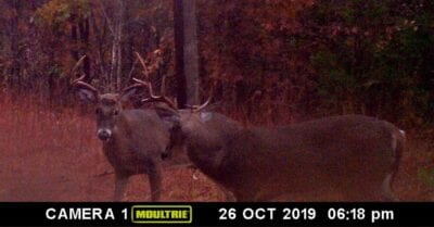 Owner Financed Hunting and Recreational Land in Missouri and Arkansas