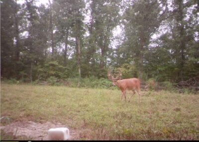 Owner Financed Hunting and Recreational Land in Missouri and Arkansas