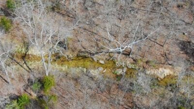 Owner Financed Hunting and Recreational Land in Missouri and Arkansas